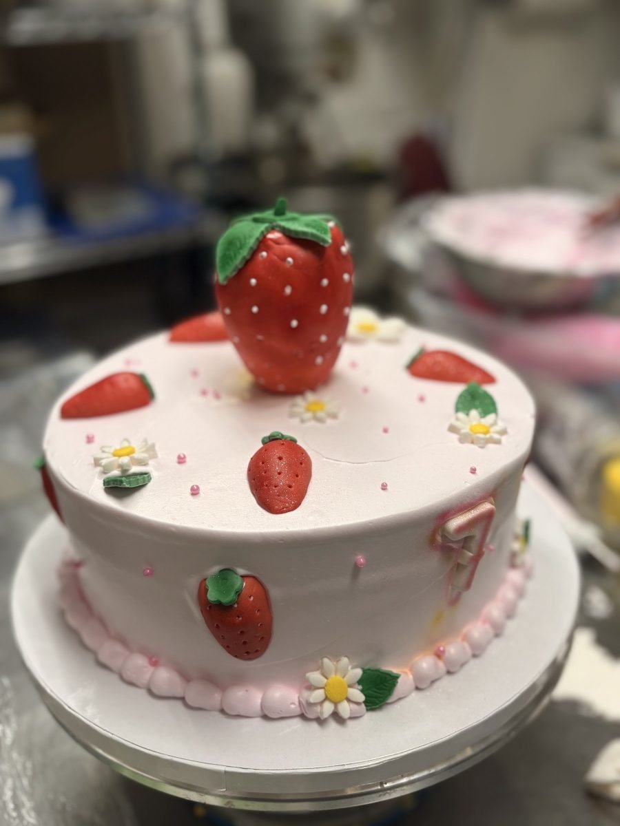 Cake made by Cakevia
